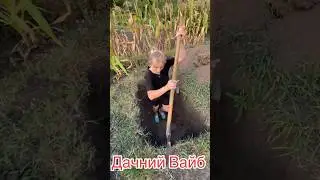 Дачний Вайб #жарти #гумор #юмор