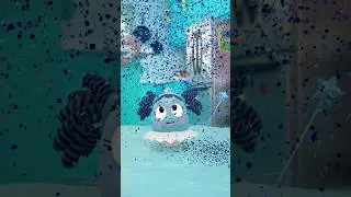 Robin’s blue! 🦋 #eggventurers #shorts #blue #funny