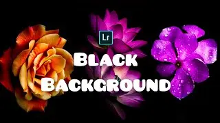 How to edit Flowers in Lightroom। Flower photos editing। Dark Background Lightroom