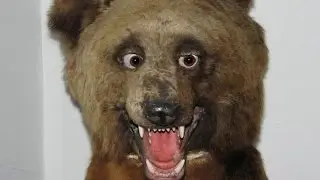ПЬЯНЫЕ ЖИВОТНЫЕ НАРКОМАНЫ