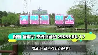 2023년 4월 17일 보라매공원 겹벚꽃