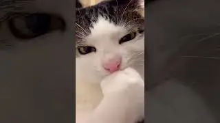 a serious beans bath 