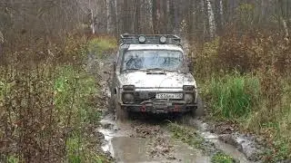 сафари 510 5