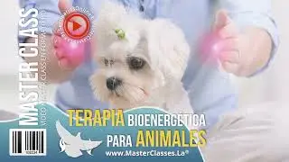 Terapia Bioenergética para Animales