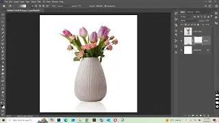 How To Create Image Reflection in PhotoShop