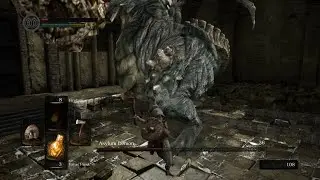 Dark Souls Remastered - When I first played and had no idea what I was doing