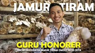 Guru Honorer Sukses Budidaya Jamur Tiram