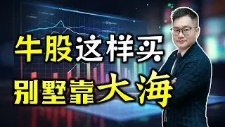 牛股这样买 别墅靠大海 ！牛股最佳回调买点｜JohnLu谈股  @johnlutalkstock
