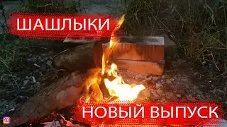 Шашлыки. Песни. Сняли швы.