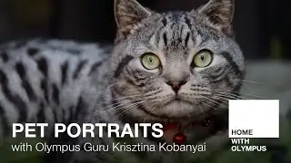 Pet Portraits with Olympus Guru Krisztina Kobanyai