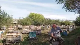 Племенной материал на 2025 год