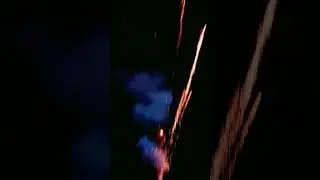Bunga Api Tahun Baru