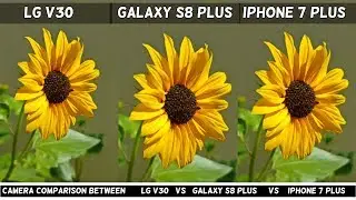 LG V30 Camera Vs Galaxy S8+ Vs Iphone 7 Plus | Camera Comparison | Camera Test | Camera Review 2017!