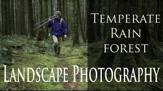 Landscape Photography | Temperate Woodlands.