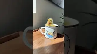 ну а я дальше спать