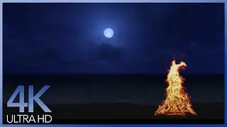 4K Campfire on Beach - Crackling Fire with Ocean Waves Sounds | 4K Relaxing Video Ultra HD