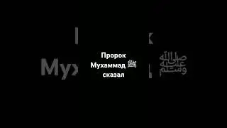 Пророк Мухаммад ﷺ сказал.#религия #напоминание #islam