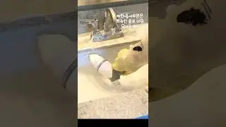 20분만에 끝내는 욕실청소
