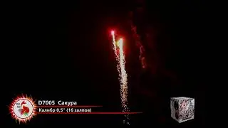 D7005 Батарея салютов  Сакура