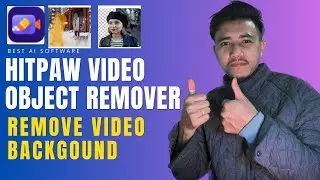 How To Remove object from Video | Best AI HitPaw Video Object Remover
