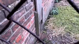 Ein normaler Morgen