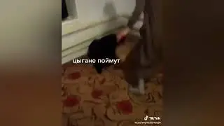 Цыганские приколы🤣2023,