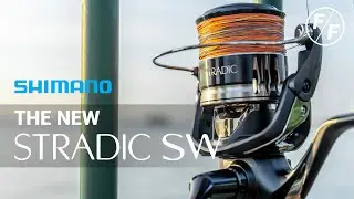 The NEW Shimano Stradic SW Fishing Reel | Facepalmfishing