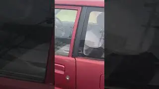 Японская Ока на обочине дороги