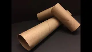 Can Cardboard Save a Garden?  (Sheet Mulching and Pest Prevention)