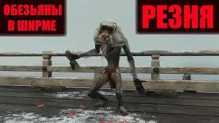 Обезьяны в ширме (Без урона)