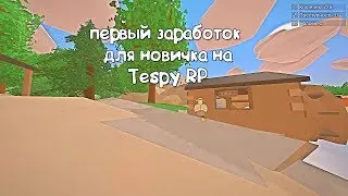 Гайд Tespy RP как заработать в начале