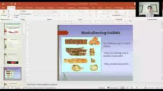 Muskul tuzilishi, muskullarning turlari va ishlashi