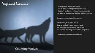Counting Wolves Driftwood Scarecrow Lyric Video