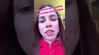 Накопить на машину наступая на какашки 💩  Зоогостиница Петрозаводск