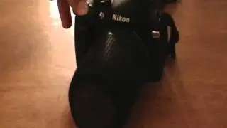 Nikon D40 vs. D40x