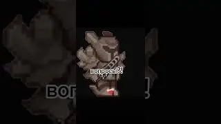 зайчик и террария 