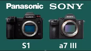 Panasonic Lumix DC-S1 vs Sony Alpha a7 III