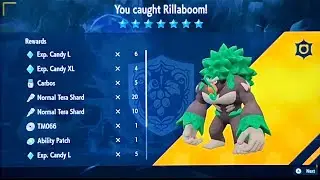 *HOW TO SOLO RILLABOOM TERA RAID* Pokémon Scarlet & Violet #pokemon #nintendo