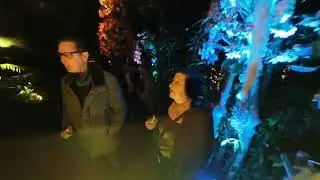 Kew Gardens Orchids After Hours