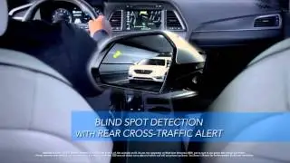 Oxendale 2015 Sonata Overview