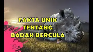 FAKTA UNIK BADAK BERCULA SATU YANG WAJIB KAMU KETAHUI