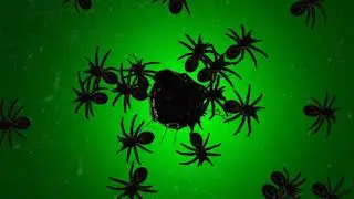 spooky spiders green screen footage | spider ride green screen for movie | no copyright green screen