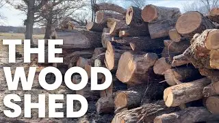 Making A Homestead | Wood Shed | 1