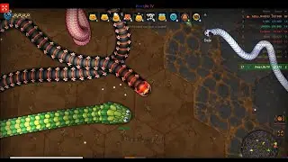 Play Game Little Big Snake  #11