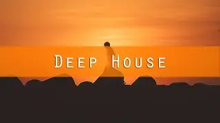 REBOOST -  Motivation (Feed My Appetite) [Deep House | Strange Fruits]