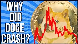 Why Did Doge Crash?