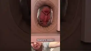 Видеоотзыв Богомолов А. А.