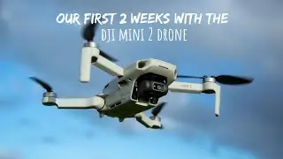 Our first 2 weeks with the DJI Mini 2