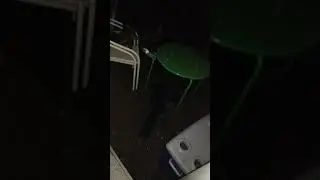 Denver AM hailstorm 5/28/2019