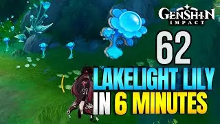 Lakelight Lily Locations | Fastest Route | Furina Ascension Materials | Genshin Impact
